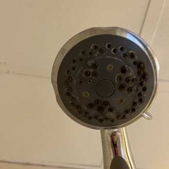 Quality Inn & Suites Mt Dora North - Shower head - Hotels Near Me - Mount Dora, Florida