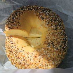 West Islip Hot Bagels - Everything egg, June 2024