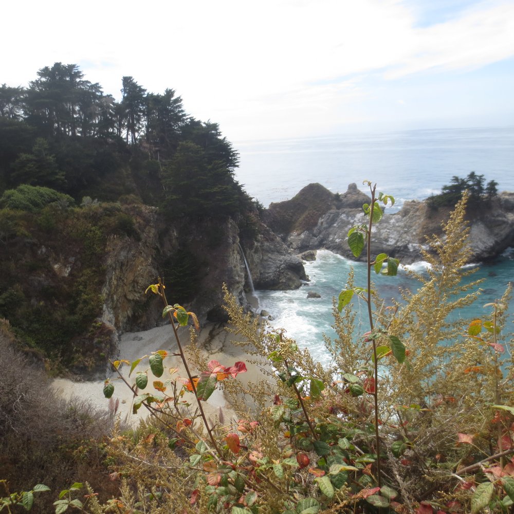 Julia Pfeiffer Burns State Park - McWay Falls - Parks Near Me - Big Sur, California