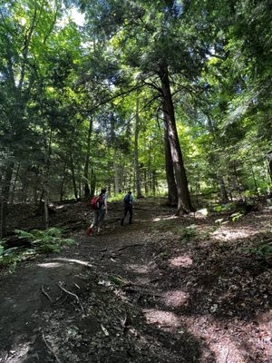 Arrowhead Provincial Park by null