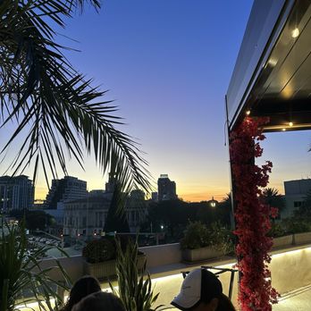Maiz y Agave - Beautiful view of the town - Mexican Near Me - Miami, Florida Maiz y Agave - Beautiful view of the town - Mexican Near Me - Miami, Florida