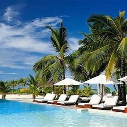 Millers Cruise and Travel