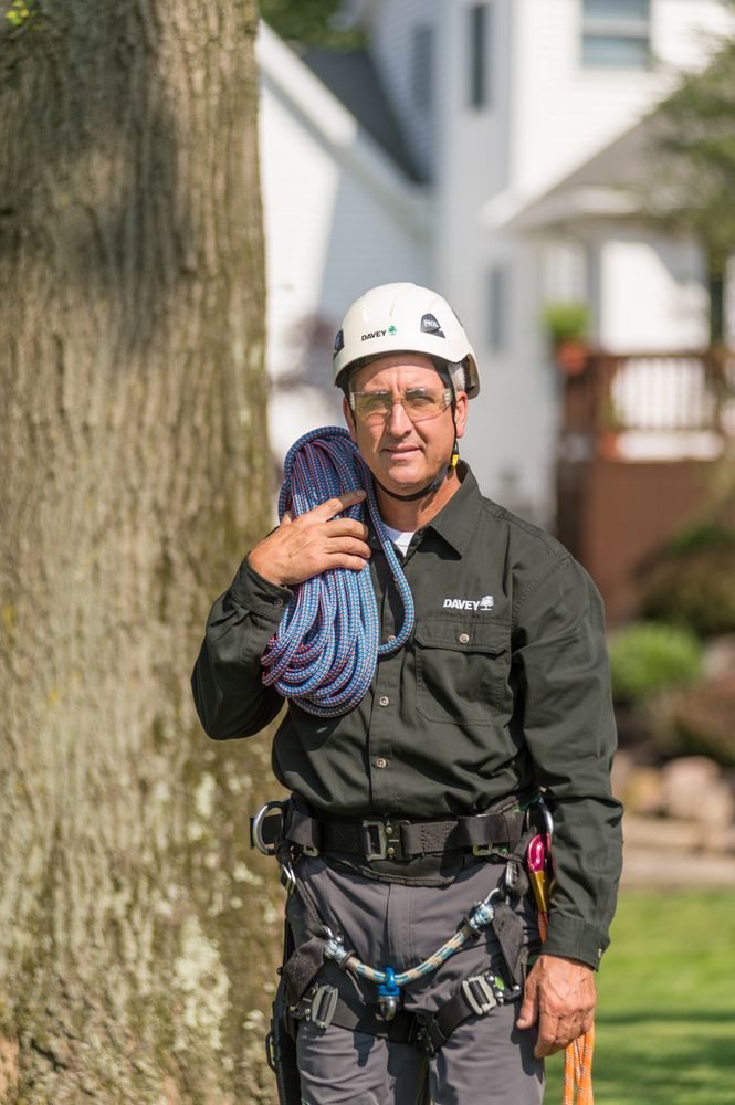 The Davey Tree Expert Company - tree service in Knoxville, TN
