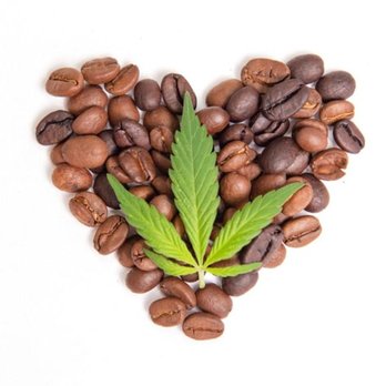 The Weed Spot - Cannabis Dispensaries Near Me - Denton, Texas