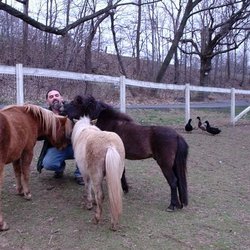 Peace Of Mind Home Pet Care