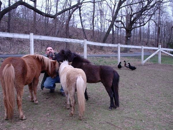 Peace Of Mind Home Pet Care - pet boarding facility in Alburtis, PA
