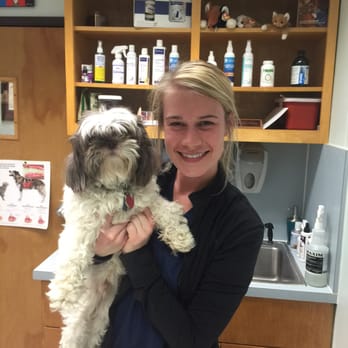 The Vet House - Perry is chill with Andrea! - Pet Sitting Near Me - Richardson, Texas The Vet House - Perry is chill with Andrea! - Pet Sitting Near Me - Richardson, Texas
