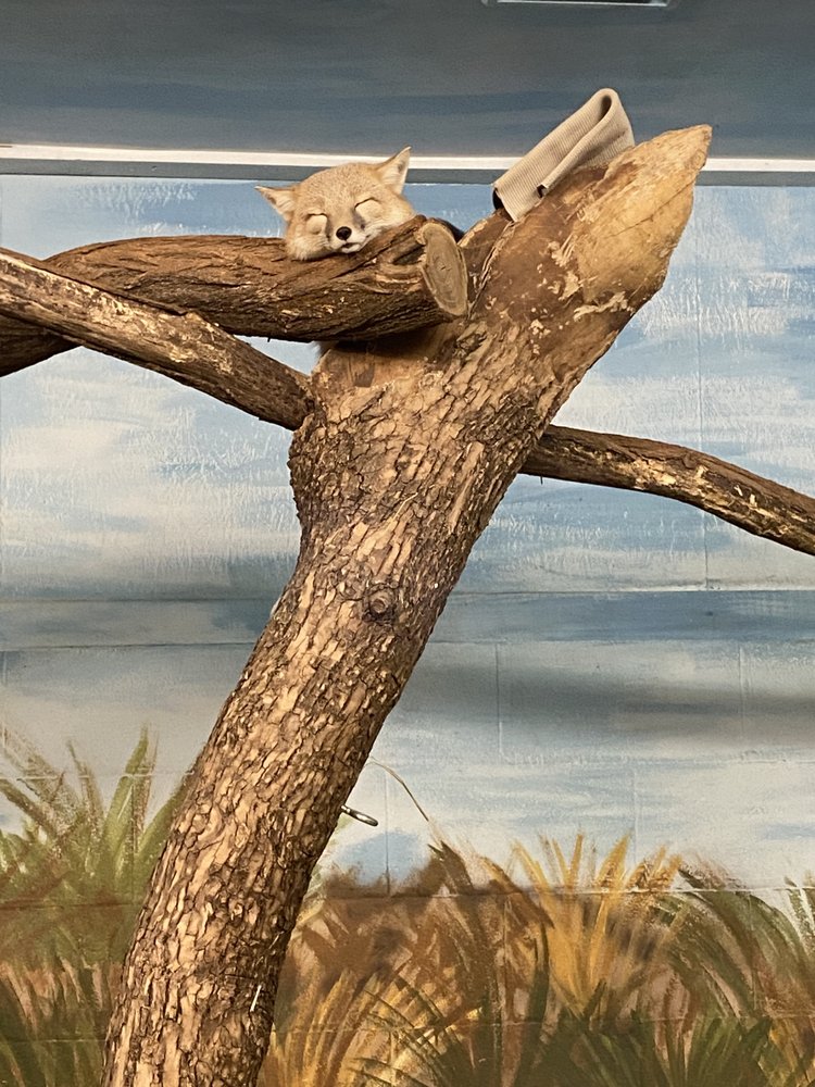 Social spots from Peoria Zoo