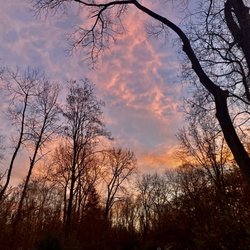 Schodack Island State Park