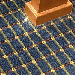 Inn At the Finger Lakes - Just some of the crusted dirt on the carpet. So much more that I couldn't upload due to the limit on photos.