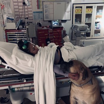 John Henry's Restaurant & Casino - Wounded military veteran with Hunter, a loyal service dog - Pizza Near Me - Choteau, Montana John Henry's Restaurant & Casino - Wounded military veteran with Hunter, a loyal service dog - Pizza Near Me - Choteau, Montana