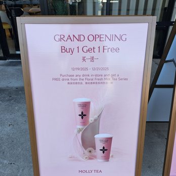 Molly Tea - Coffee & Tea Near Me - Atlanta, Georgia