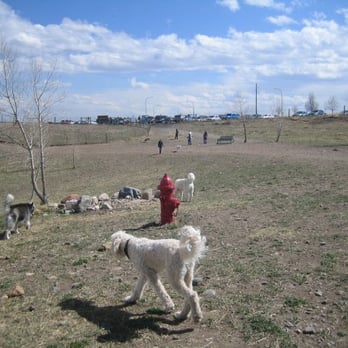 West Arvada Dog Park - Dog Parks Near Me - Arvada, Colorado West Arvada Dog Park - Dog Parks Near Me - Arvada, Colorado