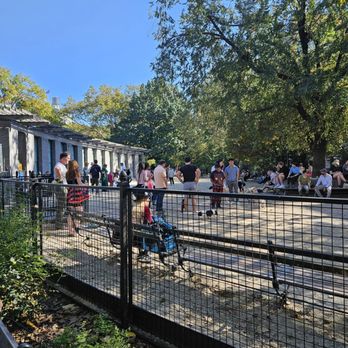 Washington Square Park Large Dog Run - Dog Parks Near Me - New York, New York Washington Square Park Large Dog Run - Dog Parks Near Me - New York, New York