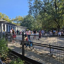 Washington Square Park Large Dog Run