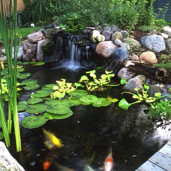 Aquascape - Waterfall cascades into ecosystem pond - General Contractors Near Me - Saint Charles, Illinois