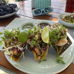 Shrimp Tacos