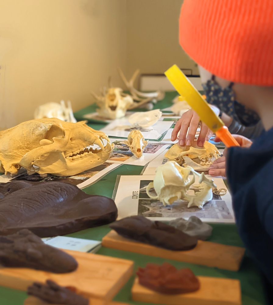 COYOTE HILLS VISITOR CENTER Updated July 2024 61 Photos 8000