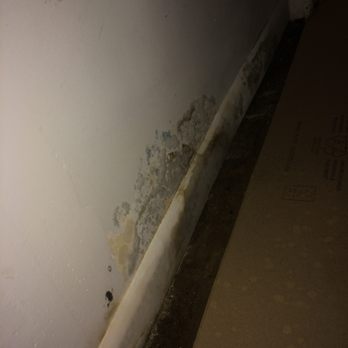 Old Town Realty - mold found in our apartment, old town did a walk through our apartment and "didnt see any mold" - Property Management Near Me - Ann Arbor, Michigan Old Town Realty - mold found in our apartment, old town did a walk through our apartment and "didnt see any mold" - Property Management Near Me - Ann Arbor, Michigan