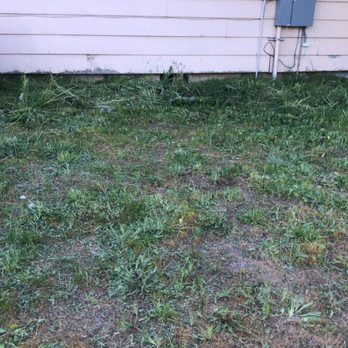 Legend Lawn Care - Paid for weed whacking, they didn't do it - Lawn Services Near Me Legend Lawn Care - Paid for weed whacking, they didn't do it - Lawn Services Near Me