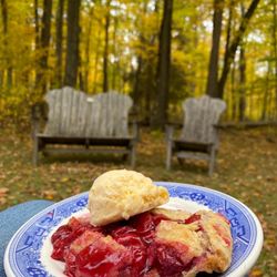 Clearing - Cherry pie at clearing picnic