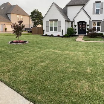 Hermosa Landscapes - the front yard of a home - Landscaping Near Me Hermosa Landscapes - the front yard of a home - Landscaping Near Me