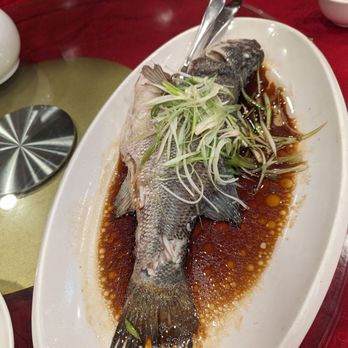 Golden Palace - Steamed Fish - Dim Sum Near Me - Brooklyn, New York