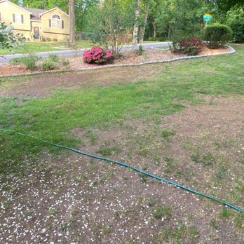 TruGreen Lawn Care - front yard - Tree Services Near Me - Acworth, Georgia