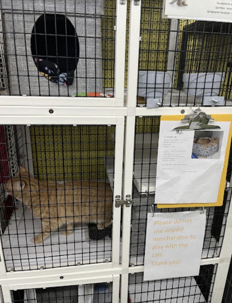 Pet Supermarket Image