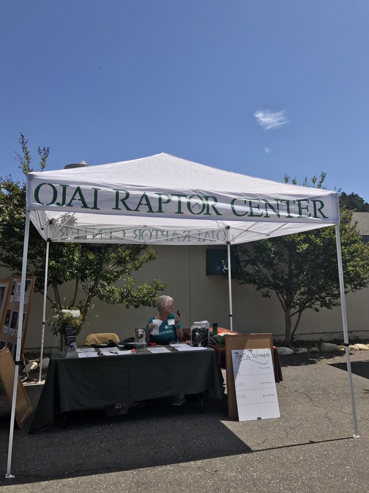 Ojai Raptor Center - social services organization in Ojai, CA