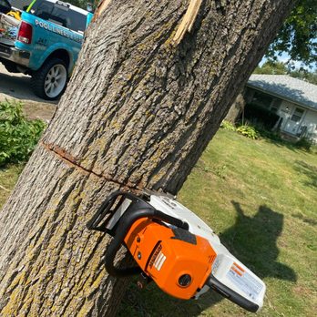 Mr. Nice Guy Tree Service - Tree Services Near Me - Plainfield, Illinois
