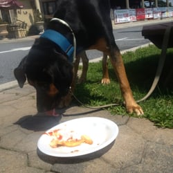 Bar-B-Q Pit - I think Rocky liked it more then I did.