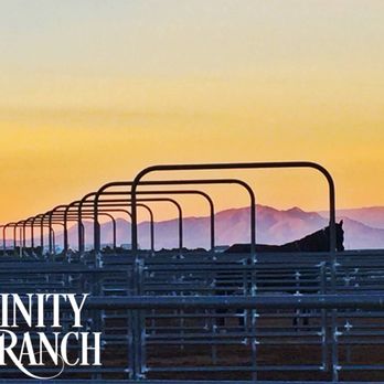 The Trinity Ranch - Horseback Riding Near Me - Lamy, New Mexico The Trinity Ranch - Horseback Riding Near Me - Lamy, New Mexico