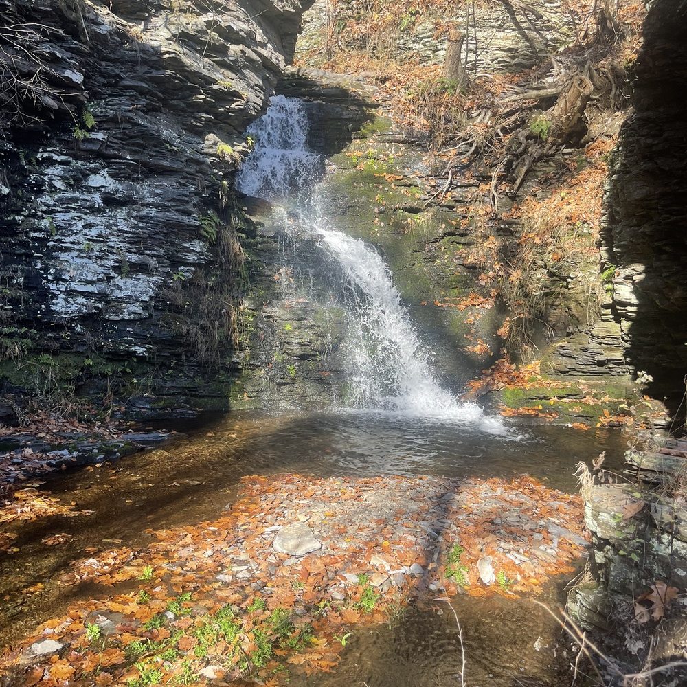 Bushkill Falls - Falls - Tours Near Me - Bushkill, Pennsylvania Bushkill Falls - Falls - Tours Near Me - Bushkill, Pennsylvania