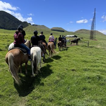 Na'alapa Stables - Horseback Riding Near Me - Kamuela, Hawaii