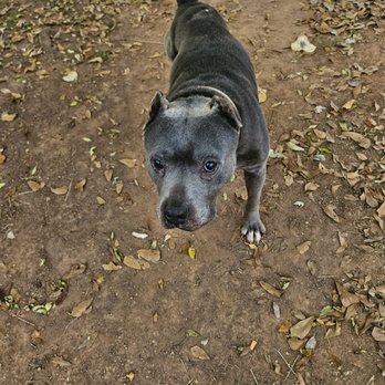 Beaconpoint Labs - the dog purina killed - Laboratory Testing Near Me - Kannapolis, North Carolina Beaconpoint Labs - the dog purina killed - Laboratory Testing Near Me - Kannapolis, North Carolina