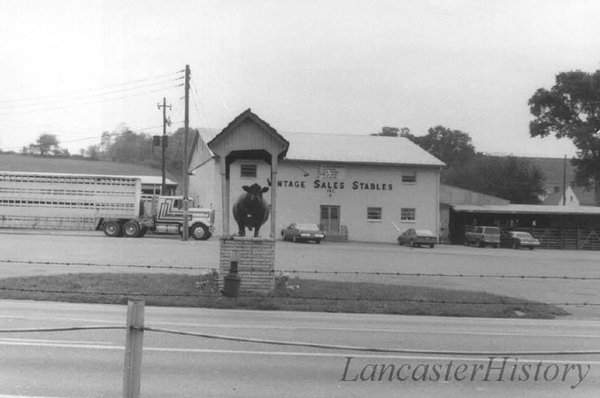 Vintage Sales Stables 3451 Lincoln Hwy E Paradise Pa Sports