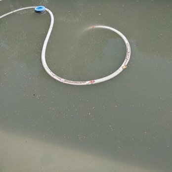 Brilliant Pools - this is what their tech left the pool condition after he turned off the water. never said sorry - Pool Cleaners Near Me - Scottsdale, Arizona
