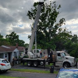 ArborTech Tree Services - Getting set up.