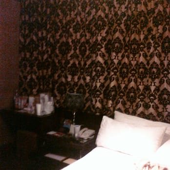 Hotel Chelsea - Hotels Near Me - Miami Beach, Florida Hotel Chelsea - Hotels Near Me - Miami Beach, Florida