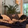 Atlanta Pet Resort - Marietta