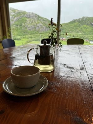 Lofoten Gårdsysteri by null