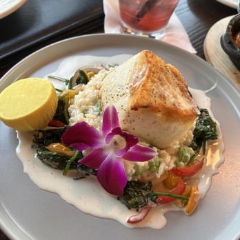 THE BLACK MARLIN - 950 Photos & 935 Reviews - 560 El Camino Real