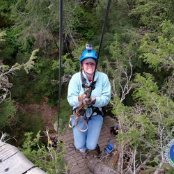 Stoney Creek Canopy Adventure Zip Line Tours