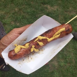 Michael Arnone's Crawfish Festival - Alligator!