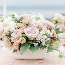 Cake & Lace Events