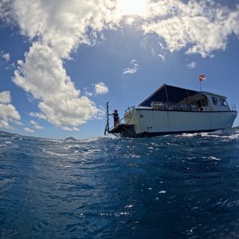 Island Divers - Scuba Diving Near Me - Honolulu, Hawaii Island Divers - Scuba Diving Near Me - Honolulu, Hawaii