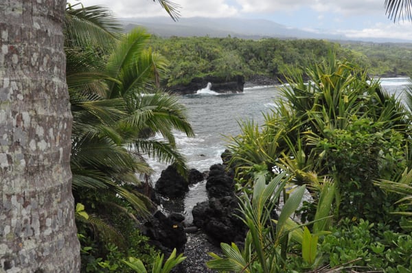 Kahanu Garden, National Tropical Botanical Garden by null