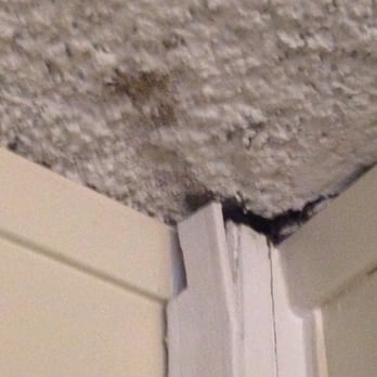 Laurel Inn - Cottage cheese ceiling with mold - Hotels Near Me - San Francisco, California Laurel Inn - Cottage cheese ceiling with mold - Hotels Near Me - San Francisco, California