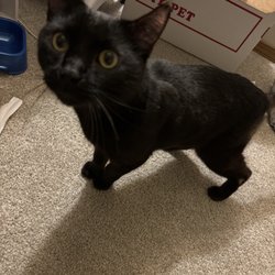 He's super happy about his new home!
